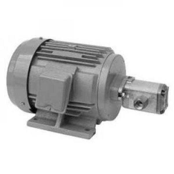 100CYZ-A-65 Hydraulisk pumpa i lager #1 image