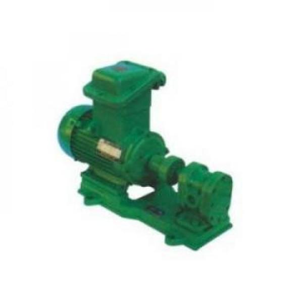 100CYZ-A-65 Hydraulisk pumpa i lager #2 image