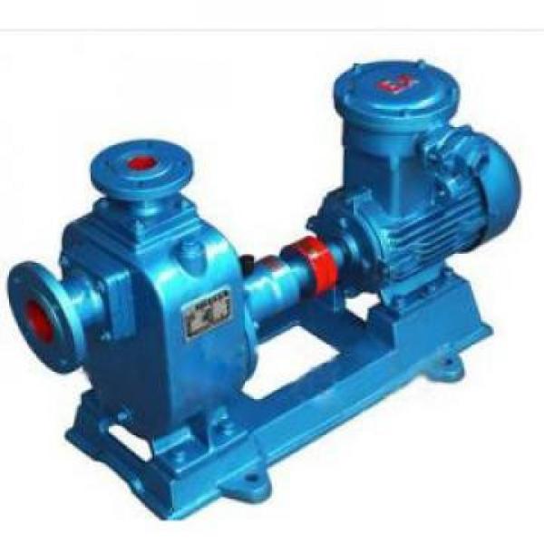 2CY/KCB Hydraulisk pumpa i lager #1 image