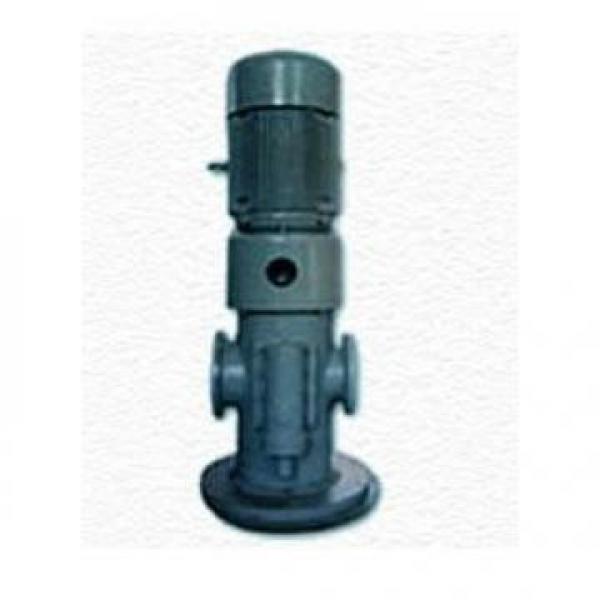 MFP100/1.7-2-0.75-10 Hydraulisk pumpa i lager #2 image